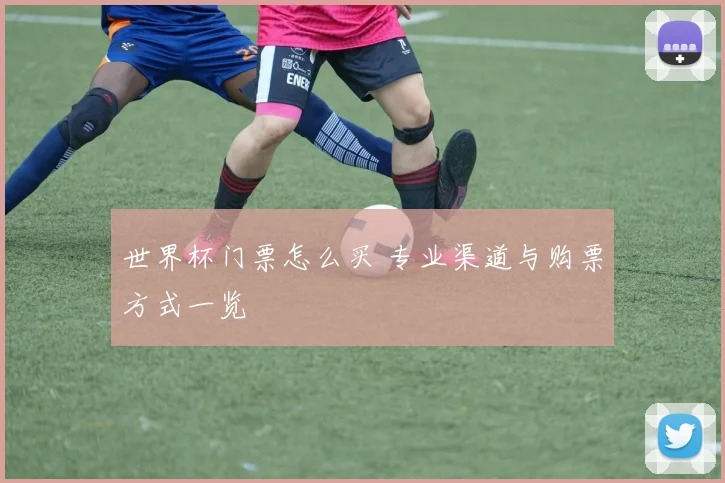 世界杯门票怎么买 专业渠道与购票方式一览