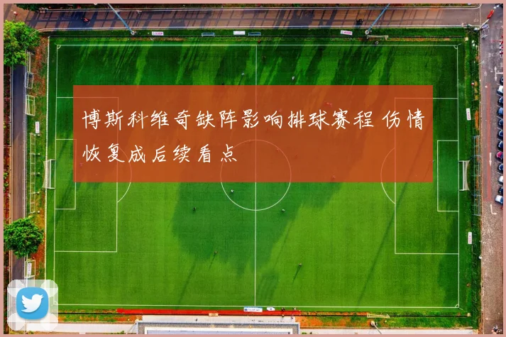博斯科维奇缺阵影响排球赛程 伤情恢复成后续看点