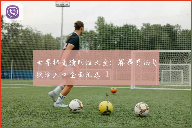世界杯竞猜网址大全：赛事资讯与投注入口全面汇总_1