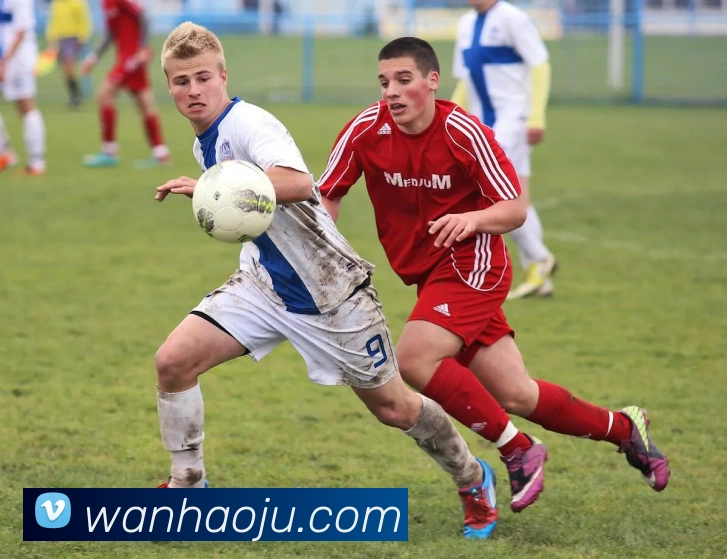 玩滚球的安全平台app官网服务体系